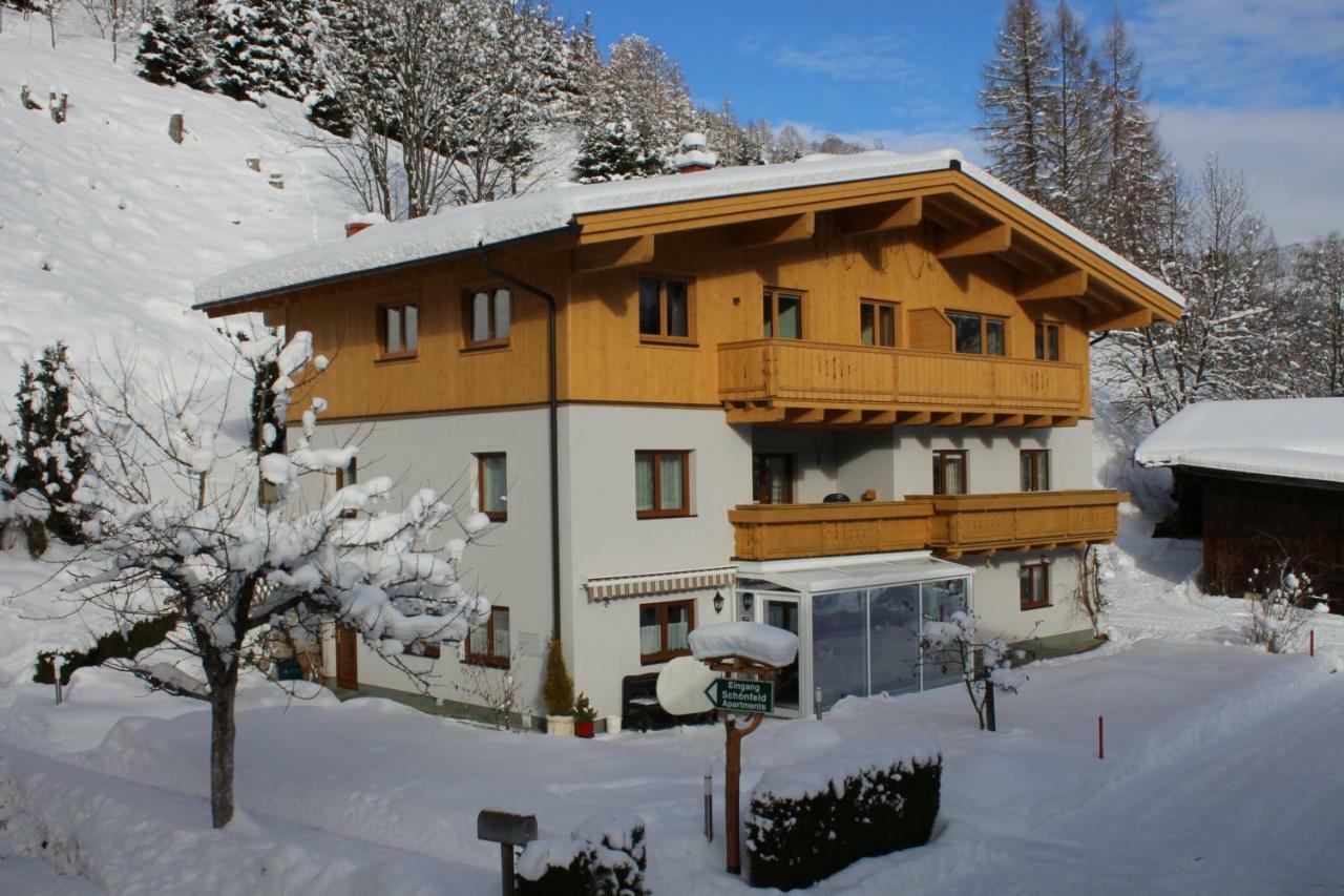 Appartement Schoenfeld 萨尔巴赫 外观 照片