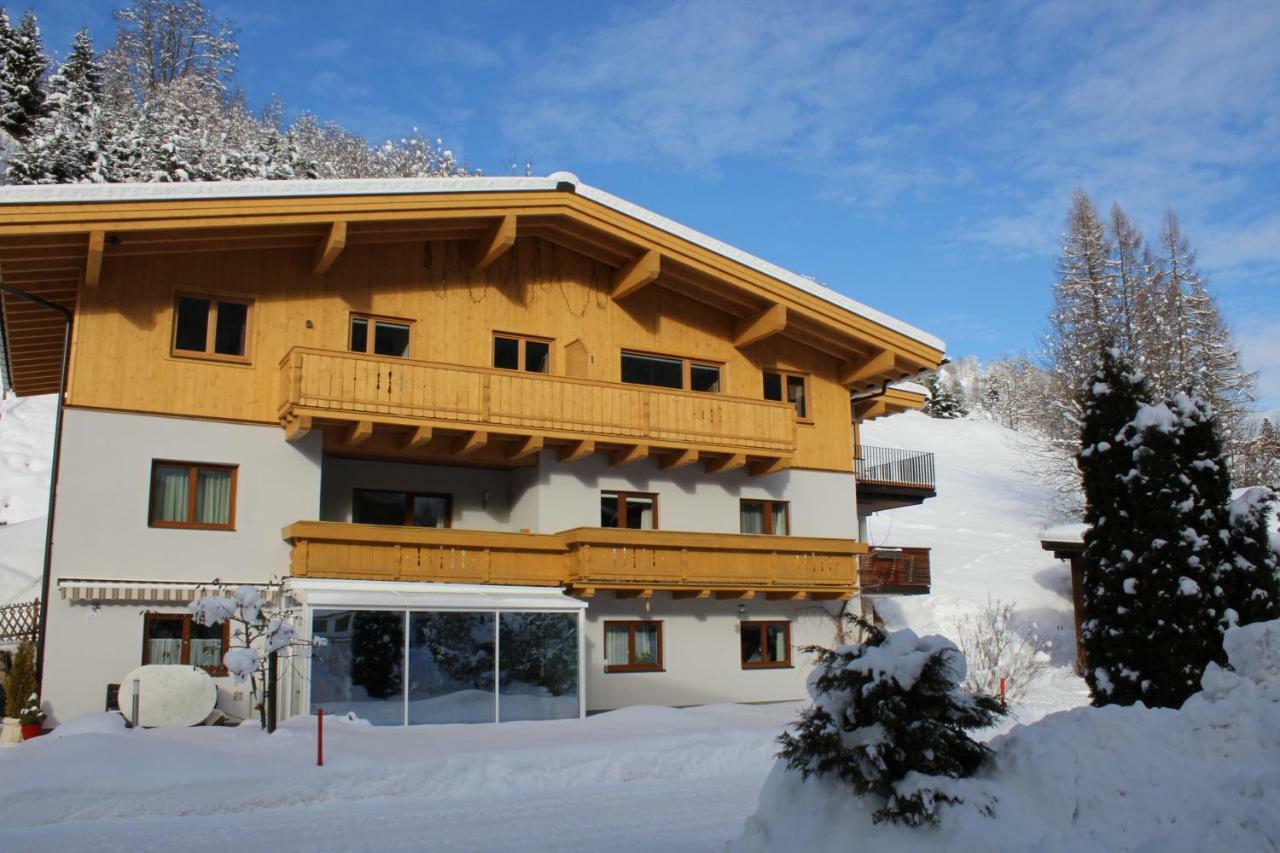 Appartement Schoenfeld 萨尔巴赫 外观 照片
