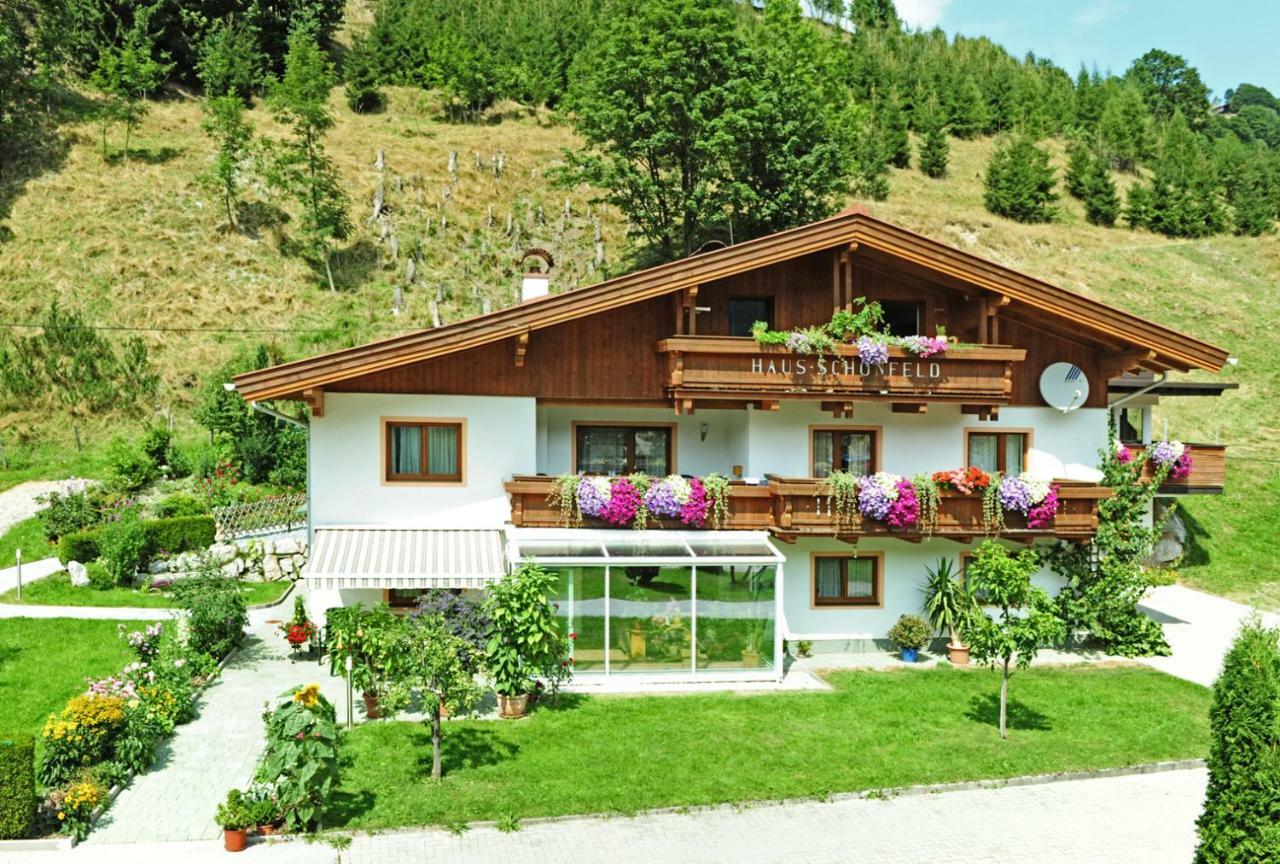 Appartement Schoenfeld 萨尔巴赫 外观 照片